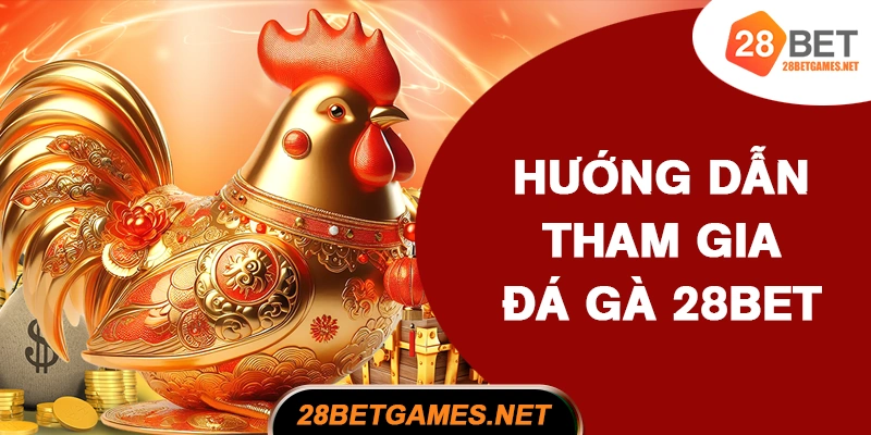 Hướng dẫn tham gia đá gà 28BET Hướng dẫn tham gia đá gà 28BET